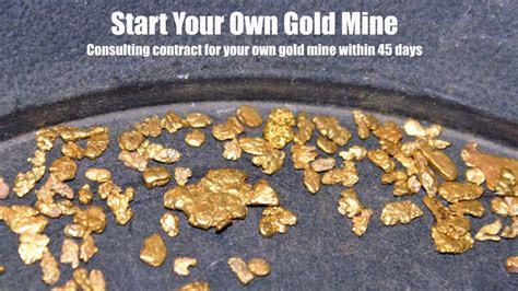 Start Your Own Gold & Silver Business - WealthFit