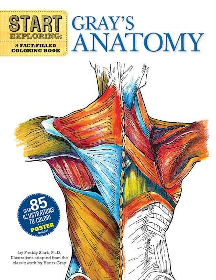 Read Start Exploring Grays Anatomy A Factfilled Coloring Book By Freddy Stark