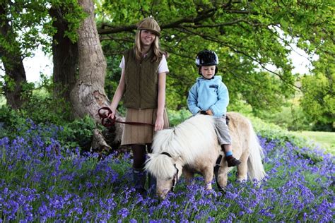 Starter rides, pony fun for children aged 3-10, Shetland …