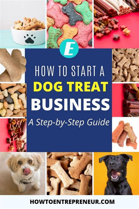 Starting Cbd Dog Treat Business
