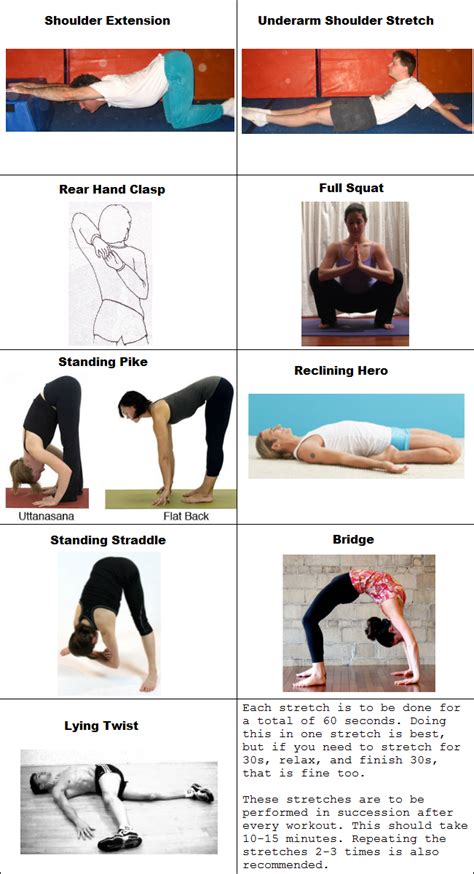 Starting Stretching Beginner Stretching Routine Cheat Sheet & App