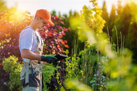 Starting a landscaping business. Things To Know About Starting a landscaping business. 