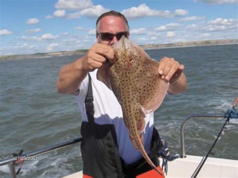 Starting the Ray season on the Bristol Channel - YouTube