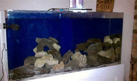 Starting up a new Tank Saltwaterfish.com Forums for Fish Lovers!