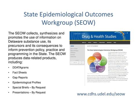 State Epidemiological Outcomes Workgroup (SEOW