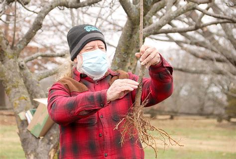 State Park Set On Restoring Borden Apple Orchard - PressReader