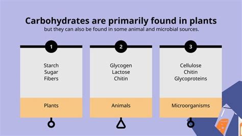 State five importance of photosynthesis.  3) Carbohydrates Food Production Fo...