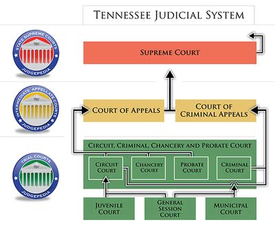 State v. Hicks :: 1981 :: Tennessee Court of Criminal ... - Justia Law