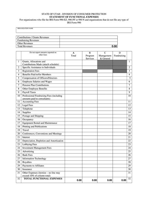 Statement of Functional Expenses Template Excel Form Fill Out and