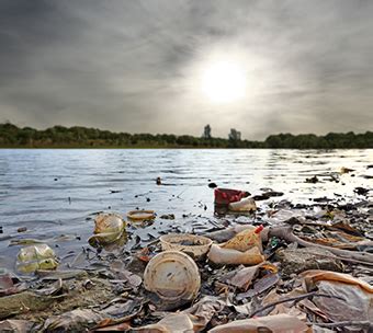 Statewide Bill in New Jersey to Reduce Plastic Bags is a Step, But ...