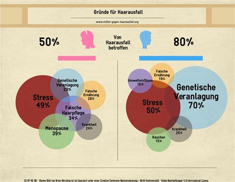 Statistiken zu Haarausfall