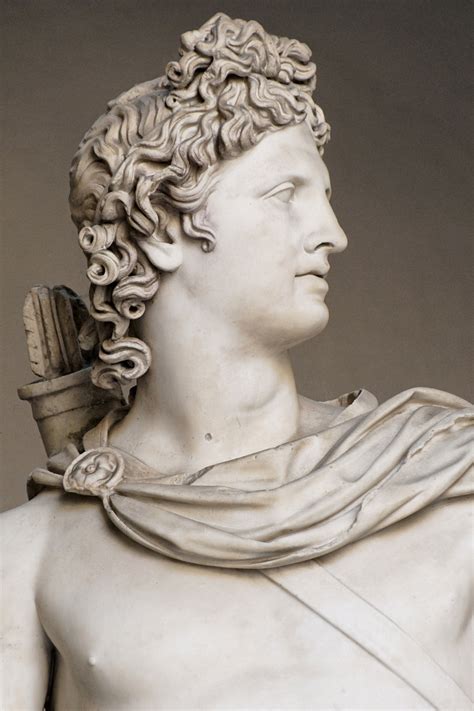 Apollo Belvedere Bust Statue ; Q:"What are the dimensions of the statue?" asked by Henry: A:"The dimensions of the statue are 32.5'' H x 22.5'' W x 14'' D." .... 