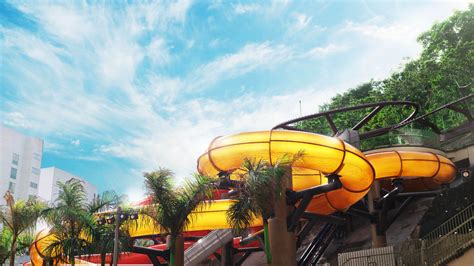 Stay The Experience Water World Ocean Park Hong Kong Official We…