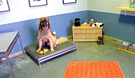Stay dog hotel. Stay Pet Hotel hours and services remain the same. Until further notice, 3 Dogs Boarding & Daycare will be open for daycare only. Drop-Off. Please one dog family in the office at a time for check in. We take great care to introduce incoming guests one at a time. 