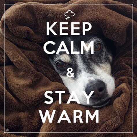 Stay warm. Cách giữ ấm và an toàn trong thời tiết giá lạnh. 