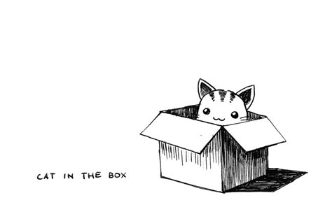 SteamKid Cat in the box
