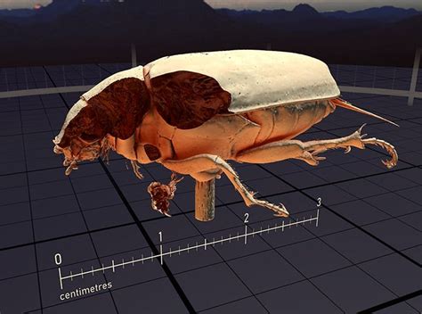 SteamVR updates notes include literal bugs 