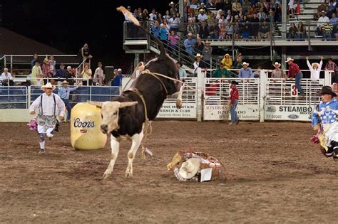 Steamboat rodeo. The Steamboat Springs Pro Rodeo does not have a regular photographer. However, we do have guest photographers throughout the season who will post their photo links in the contestant’s facebook group. Please watch the group or … 