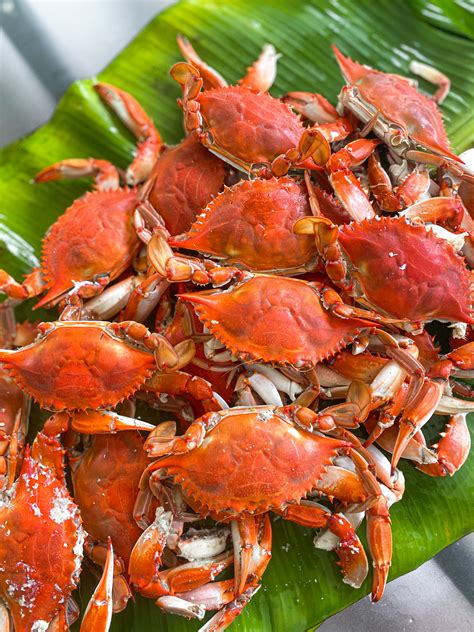 Steamed Blue Crabs