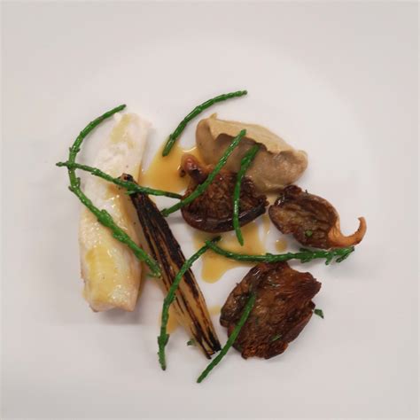 Steamed Plaice Darne with Wild Mushroom Puree …