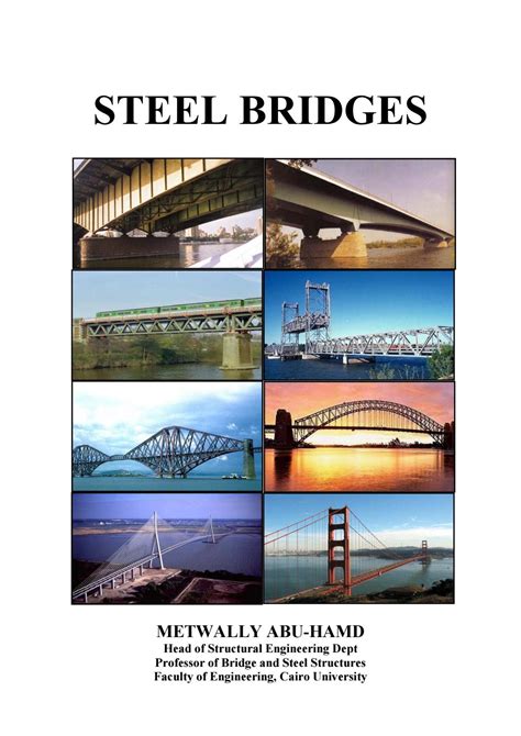 Steel Bridges by Metwally Abu Hamd