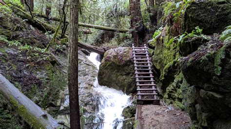 Steep ravine trail. The Magic of Steep Ravine, Mount Tamalpias State Park. With its rushing creeks and waterfalls, Steep Ravine trail on Mt. Tamalpais provides a magical ... 
