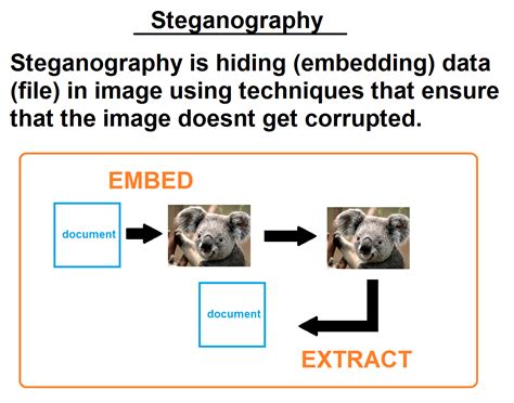 Steganography java github.  Package Steganography.  testFiles : images an...