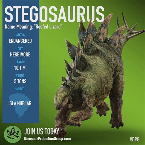 Stegosaurus stenops “gigas” (*) (S/F) / (S/F-S) – Jurassic …