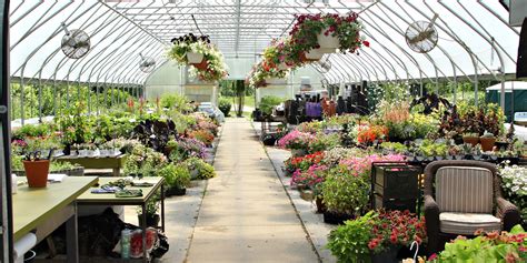 Anne's Acres journey to Greenfield, Wisconsin. 0. Skip to Content Home Our Story Spring Offerings 12" Hanging Baskets 12" Planters 16" Planters 16" Hanging Baskets 5" Annuals ... Family-owned and operated neighborhood greenhouse. Our story. It started as a dream. Back when we got married, we had a goal of starting our own business.
