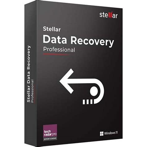 Stellar data recovery professional stellar data