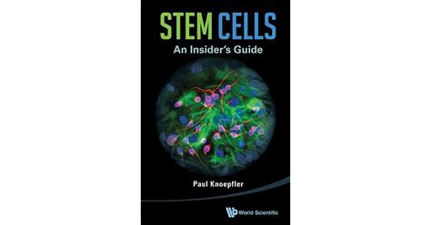Read Stem Cells An Insiders Guide An Insiders Guide By Paul Knoepfler