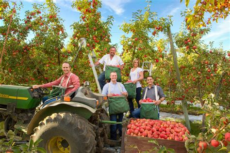 Stemilt - Stemilt is a leader in sweet cherries and organic tree fruits, and a key supplier of apples and pears. The company stewards an environmentally sustainable and socially …