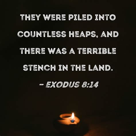 Stench (12 Occurrences) - BibleApps.com Online Bible