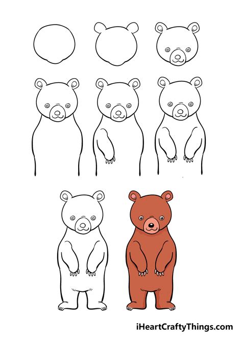 Step By Step Bear Drawing