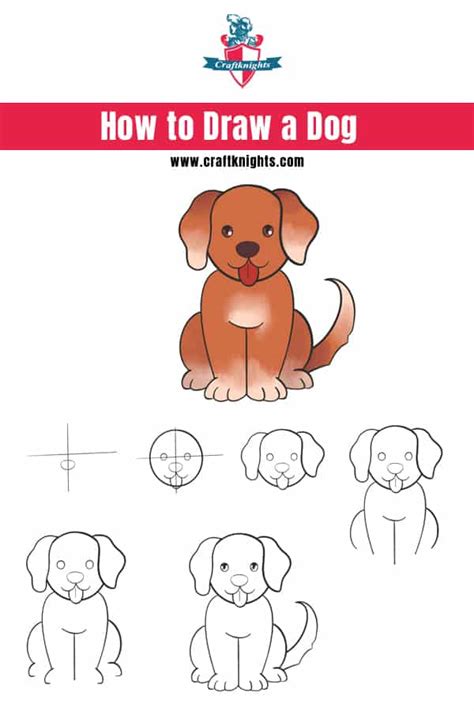 Step By Step Dog Drawing Easy