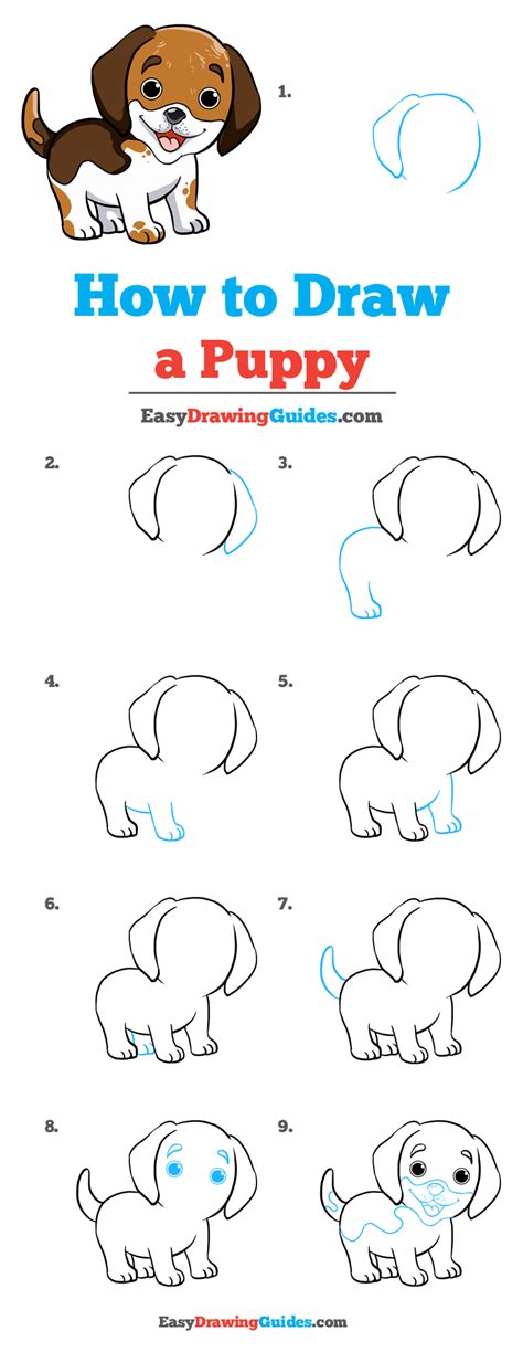 Step By Step Drawing Puppy