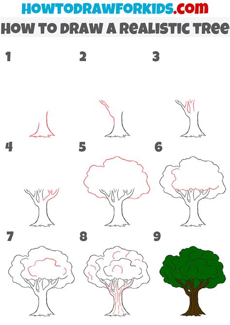 Step By Step Tree Drawing