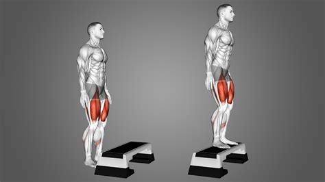 Step Up For Muscular Development