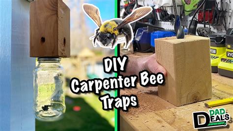 Step by Step DIY instructions on How To Build A Carpenter Bee Trap 