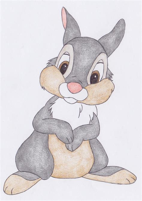 Step by Step How to Draw Thumper from Bambi : …