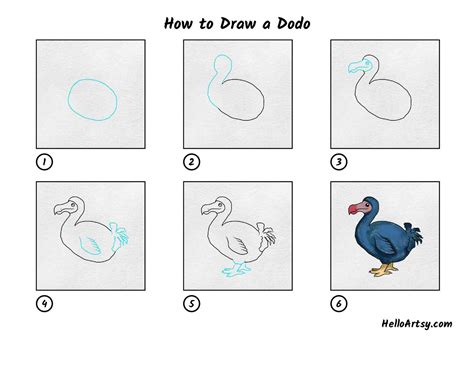 Step by Step How to Draw a Dodo