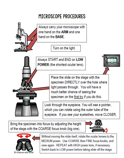 Step by guide to using a microscope. - 1995 cadillac deville concours repair manuals.