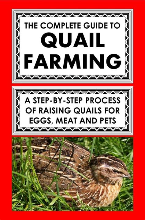Step by step guide on quail farming. - Operators and unit maintenance manual for launcher and cartridge 84 millimeter m136 at4.
