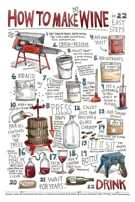 Step by step guide to making home made wine. - Ki.ka kinderquiz. (kinderkanal). ( ab 7 j.)..