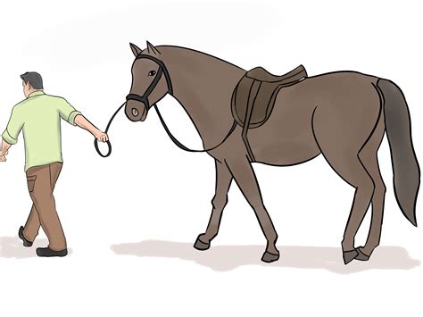 Step by step guide to training a miniature horse to drive. - Biographische skizze von wolfgang amadäus mozart.