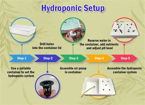 Step by step hydroponic growing guide. - Personalidad y tendencias vocacionales del adolescente.