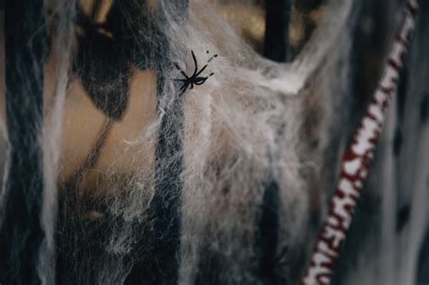 Step into a Spooky Realm with Our Enchanting Spider Legs Costume