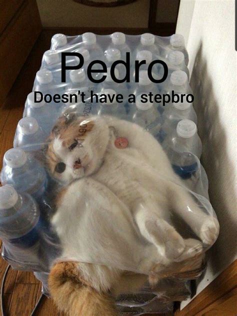 Stepbro_No Onlyfans Leaked XXX 🍌 125 Vids
