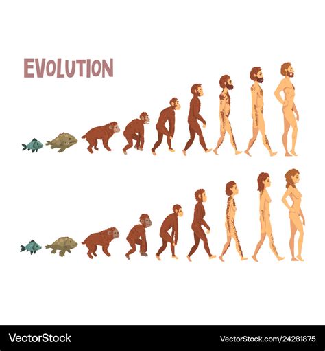 Biological evolution is defined as organisms reproducing but experiencing changes with each generation. Evolution can happen in a small and large context. There are small genetic changes between generations, as well as large changes that ha.... 