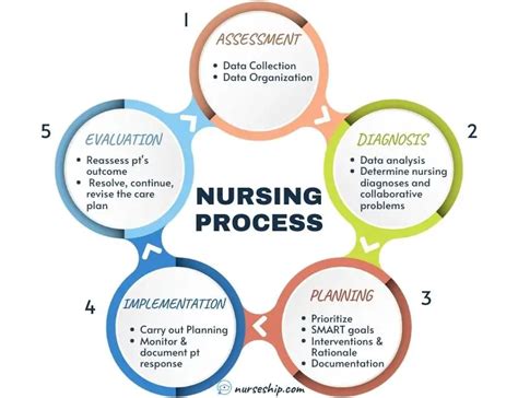 Steps in the nursing process Nursing Pinterest